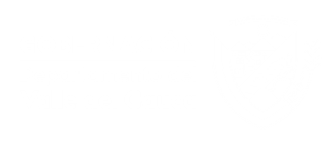 Logo Cali Incluyente